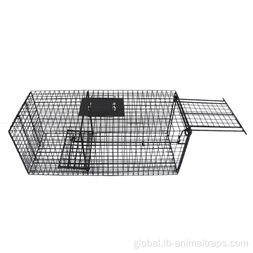 China high quality Stainless steel dog cage Supplier